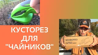 И как я без них жила? Аккумуляторные ножницы для газона и кустарника WORKPRO