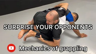 Octopus guard options - Take the back