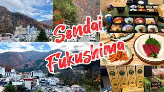 Japan Trip Nov’2022 | Tohoku Road Trip EP.9 : Sendai Station & Fukushima