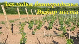 Закладка Виноградника. Выбор места