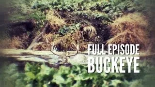 Ohio Crossbow Whitetail Hunt | Buckeye