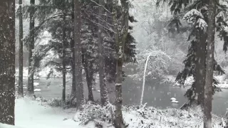 [10 Hours] Snow Falling on a Winter River [1080HD] SlowTV