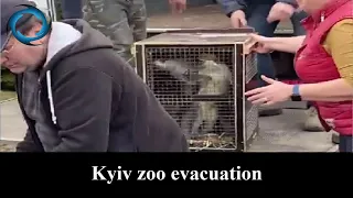 Kyiv zoo evacuation