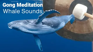 Gong Meditation | Whale Sounds | 5 minute Sound Bath