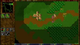 Warcraft 2 Garden of War 1v1 u8t3io3p vs shotgun