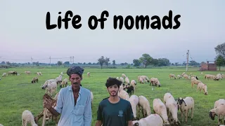 Life Of Nomads 😍