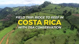 Creating Wildlife Corridors in Costa Rica | Field Trips | One Tree Planted