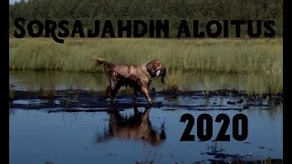 Sorsajahti || Metsästys 2020