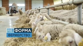 15 років без землі. Як працюють українські фермери. RE:ФОРМА