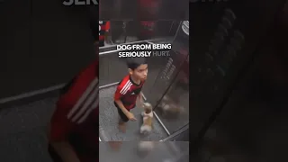 Heroic Boy Saves Dog Trapped in Elevator 😱 #shorts