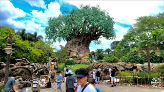 Disney's Animal Kingdom Complete Walking Tour in 5K | Walt Disney World 2021 Orlando Florida