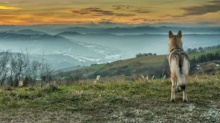 Всё чаще уходим в себя (стихи и монтаж Инна Разумовская г Омск )