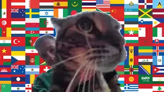 Cat Meows in different languages memes