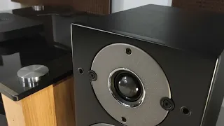 Bookshelf speakers Акустика Dali Oberon 1 C +  DALI Sound Hub Compact