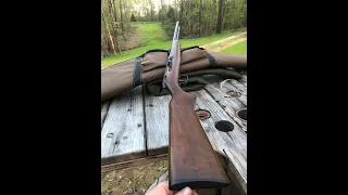 Remington 550-1 Test