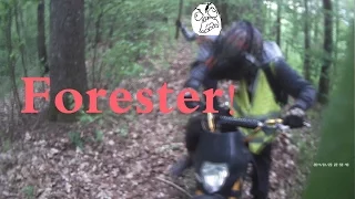 Angry forester getaway + Crash (MXLV) 2016 HD