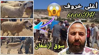 أجي تشوف أغلى حولي في سوق أزغنغان إقليم ناظور واصل 6000DH 😱