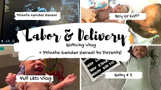 BIRTH VLOG | RAW & REAL LABOR AND DELIVERY | SURPRISE GENDER REVEAL AT BIRTH & NAME REVEAL