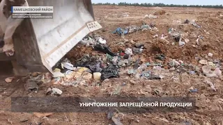 Уничтожение продуктов в Камешковском районе (2019 08 07)