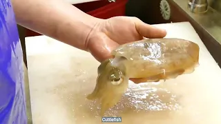 Raw cuttlefish sashimi | Korean street food
