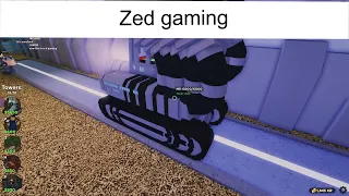 Zed gaming