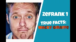 Zefrank1: True Facts-Wacky Giraffe