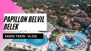 Papillon Belvil VLOG