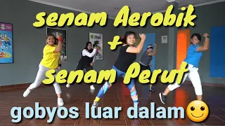 Senam Aerobik + Senam Perut | Senam Bakar lemak | tinydance