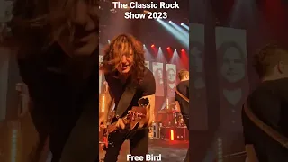 #theclassicrockshow 2023 - Free Bird - Live in Swindon