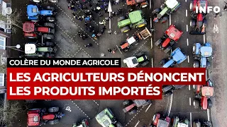 Les agriculteurs dénoncent les produits importés - RTBF Info