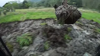 Escavadeira começando lagoa com muito brejo P1