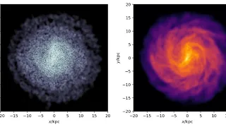 Galaxy simulation: stars and gas
