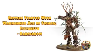 Getting Started With Age of Sigmar 3rd Edition: Sylvaneth - Oakenbrow Glade