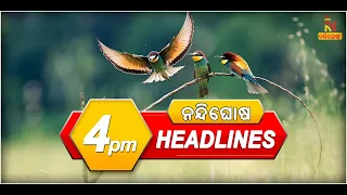 Headlines@4PM | 30th January 2021 | NandighoshaTV