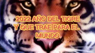 QUE TE TRAE EL AÑO DEL TIGRE 2022