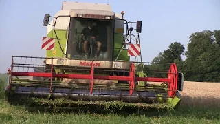 Moissons Claas Dominator Mega 218 & récolte blé - Placey - Doubs - Franche-Comté