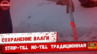 Сохранение влаги в разных технологиях | Strip-till, No-till, Традиционная