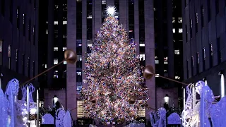 Rockefeller Centre's 2023 Christmas tree officially chosen