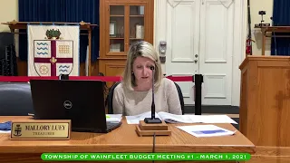 Township of Wainfleet Budget Meeting #1 - March 1, 2021