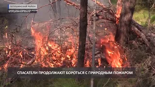 2018 08 28 В Петушинском районе продолжается лесной пожар