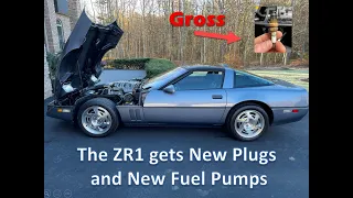 1990 ZR1 fuel pumps and spark plug replacement