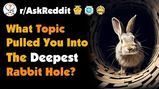 What Topic Pulled You Into The Deepest Rabbit Hole?