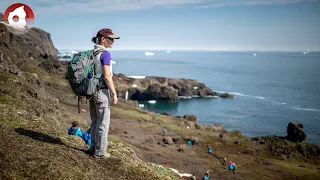 Summer in Greenland