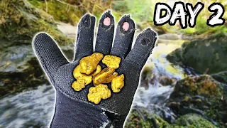 I Found A Patch Of GOLD Nuggets In Remote River!