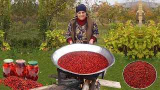 Harvesting Rosehip in the Mountains - Making Rosehip Jam and Fried Bread