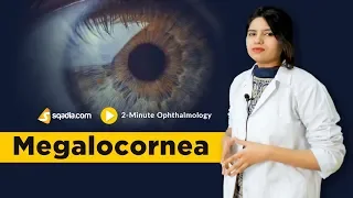 Megalocornea | 2-Minute Ophthalmology | Medical Student Education | V-Learning