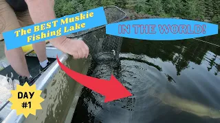The best muskie fishing lake in the world | 26 muskies in one day!