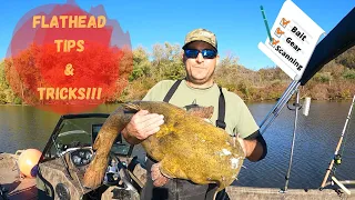 TIPS and Tricks for Targeting FLATHEAD Catfish