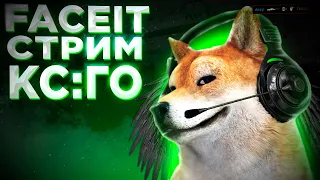 СТРИМ КС ГО/СТРИМ ПО КС ГО/ CТРИМ CS:GO, STREAM CSGO . ОТ СИЛЬВЕРА ДО ГЛОБАЛА ЗА ГОД. БУСТЕР КСГО