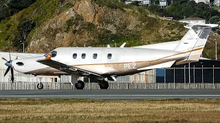 So Many A320s! | Windy Plane Spotting at Wellington Airport During Golden Hour